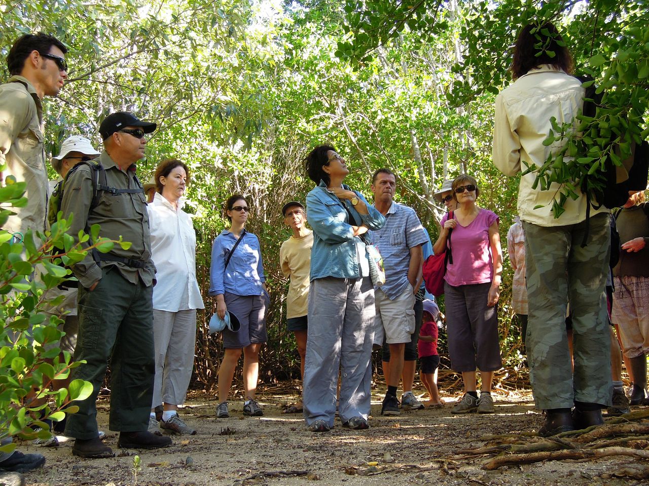 tour guide preparing for a mangrove walking tour