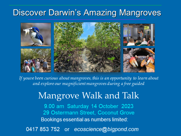 Mangrove Walk and Talk 1 July 2023