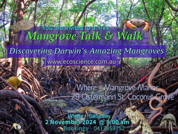 Mangrove Walk and Talk 1 July 2023