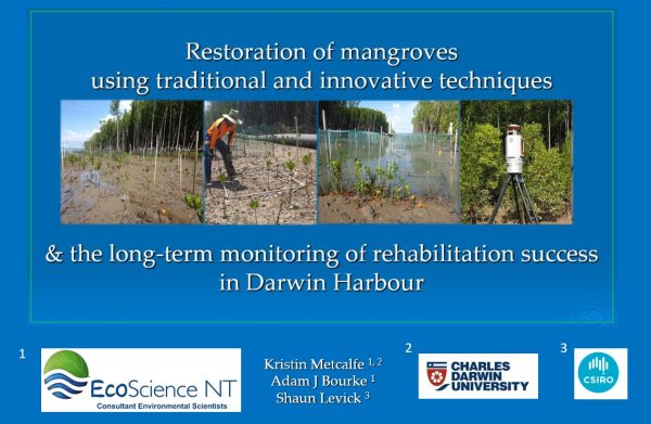 Mangrove food cycle and carbon dynamics poster